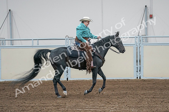 2020 - AB Morgan Horse - Fri, Sept 04 - 00612