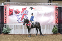 065 - HA/AA Hunter Pleasure JTR