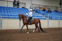 2020 - AB Morgan Horse - Fri, Sept 04 - 03476