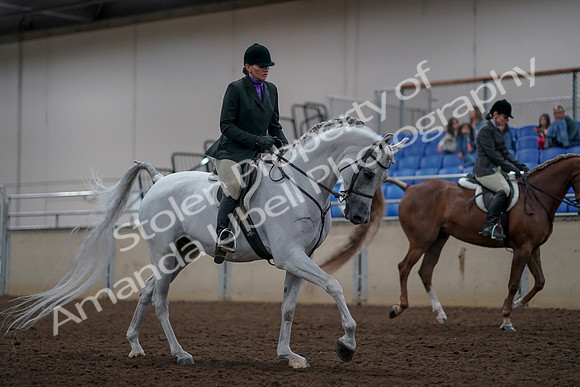 2019 Morgan Horse Show - Aug 31, 2019 - 16116