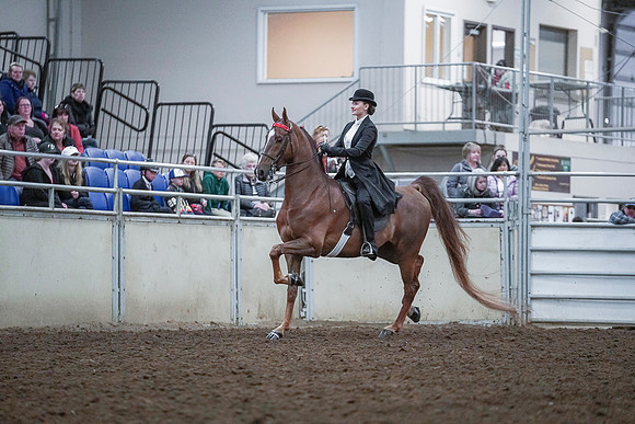 Spring Fling - Saturday - April 20, 2019  -  00495
