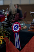 2019 Morgan Horse Show - Sept 01, 2019 - 00003