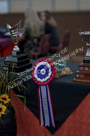 2019 Morgan Horse Show - Sept 01, 2019 - 00003