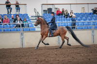 2019 Morgan Horse Show - Aug 31, 2019 - 19922