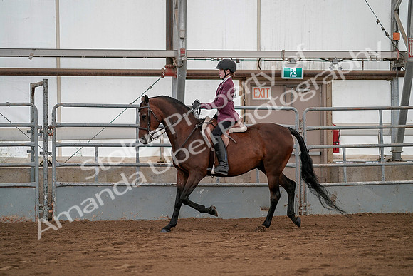 July 19, 2019 - 2595