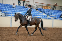 2020 - AB Morgan Horse - Sat, Sept 05 - 14209