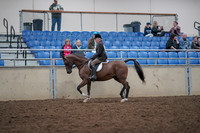 2019 Morgan Horse Show - Aug 31, 2019 - 15862
