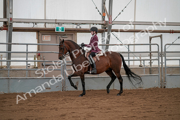 July 19, 2019 - 2585