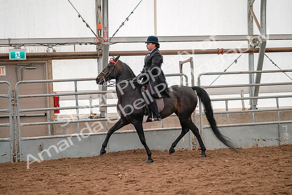 July 19, 2019 - 14095