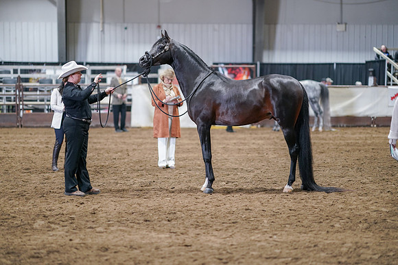 2022 - CNAC - Sept 29 - 09135