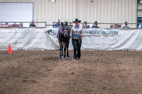 075 - A/HA/AA Showmanship AATH