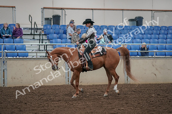 2019 Morgan Horse Show - Aug 30, 2019 - 26101