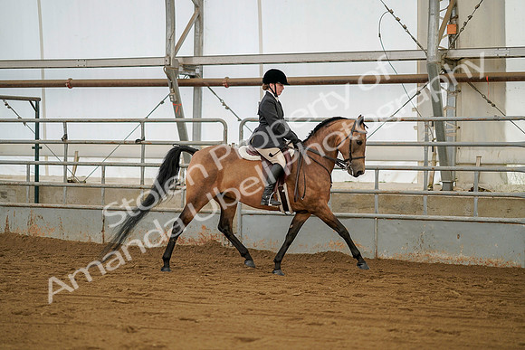 July 20, 2019 - 01537
