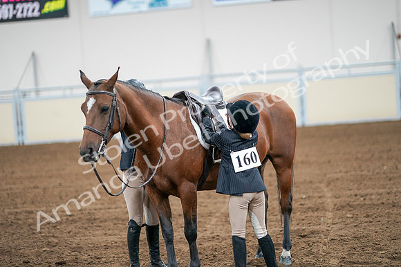 2020 - AB Morgan Horse - Fri, Sept 04 - 02086