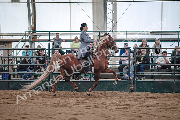 July 20, 2019 - 17154
