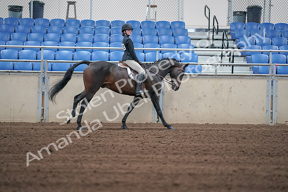 2019 Morgan Horse Show - Sept 01, 2019 - 03896