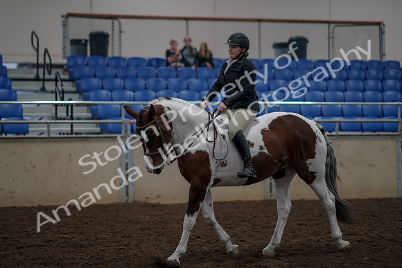 2019 Morgan Horse Show - Aug 30, 2019 - 31197