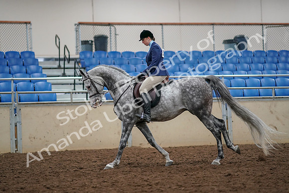 2019 Morgan Horse Show - Aug 30, 2019 - 22349
