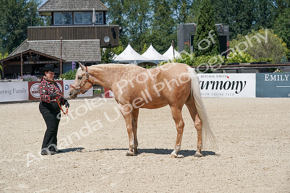 2024 - WCB - July 20 05263_1