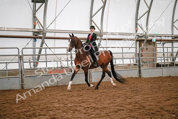 July 19, 2019 - 8703