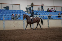 2019 Morgan Horse Show - Aug 31, 2019 - 05563