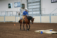 2020 - AB Morgan Horse - Fri, Sept 04 - 00220