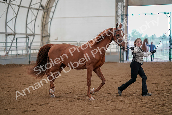 July 19, 2019 - 878
