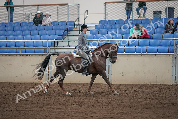 2019 Morgan Horse Show - Aug 31, 2019 - 07500