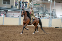 2020 - AB Morgan Horse - Sat, Sept 05 - 05278