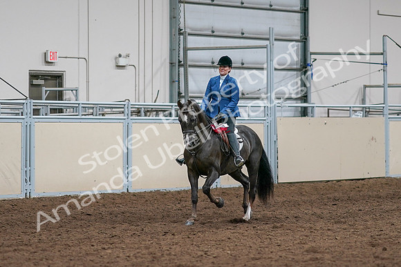 2020 - AB Morgan Horse - Sat, Sept 05 - 05227