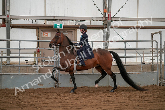 July 19, 2019 - 3811