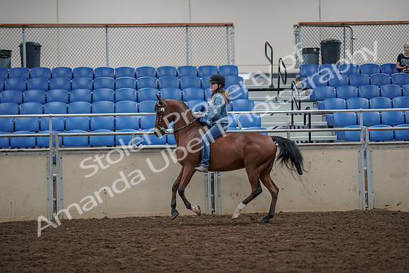 2019 Morgan Horse Show - Aug 30, 2019 - 31327