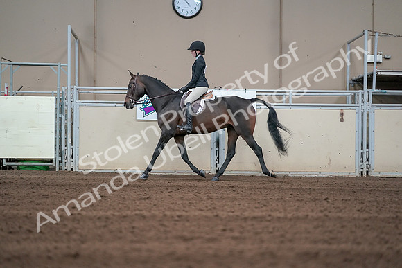2019 Morgan Horse Show - Sept 01, 2019 - 03685