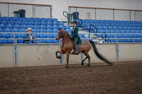 2019 Morgan Horse Show - Sept 01, 2019 - 13161