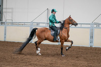 2020 - AB Morgan Horse - Fri, Sept 04 - 08687