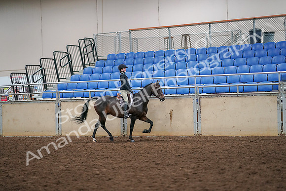 2019 Morgan Horse Show - Aug 30, 2019 - 12413