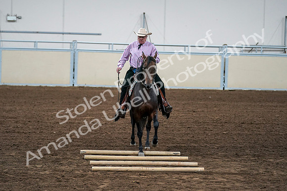 2020 - AB Morgan Horse - Fri, Sept 04 - 00573