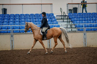2019 Morgan Horse Show - Aug 30, 2019 - 22185