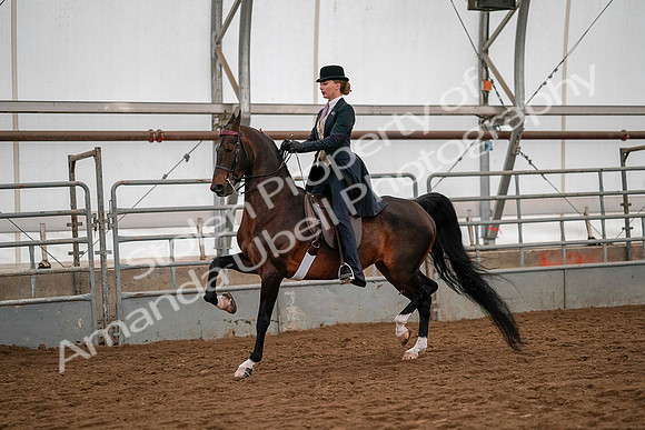 July 19, 2019 - 10535