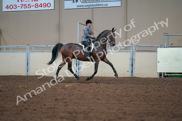 2019 Morgan Horse Show - Aug 30, 2019 - 20930