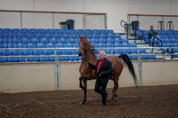 2019 Morgan Horse Show - Aug 31, 2019 - 00549