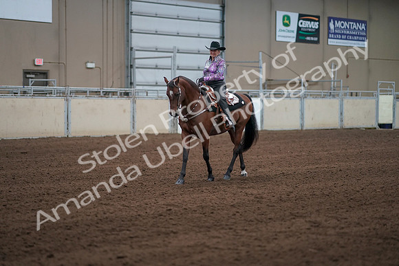 2019 Morgan Horse Show - Sept 01, 2019 - 07198