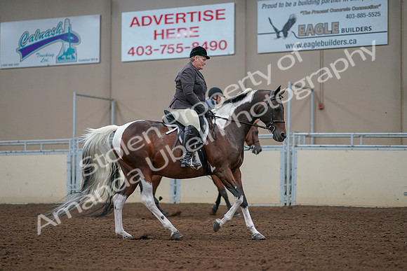 2019 Morgan Horse Show - Aug 30, 2019 - 16443