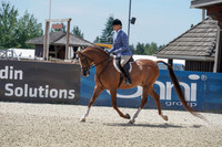 390 - Arabian Hunter Pl
