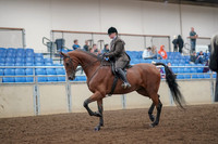 Class 056 - All Breed Hunter Pl Open