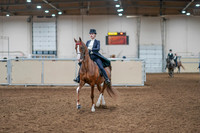 2020 - AB Morgan Horse - Sat, Sept 05 - 11363