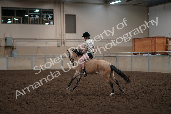 2019 Morgan Horse Show - Aug 30, 2019 - 31252