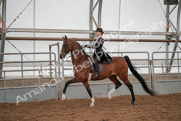 July 19, 2019 - 4232