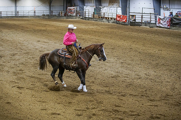 DSC02237