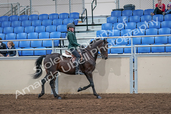2020 - AB Morgan Horse - Sat, Sept 05 - 05169